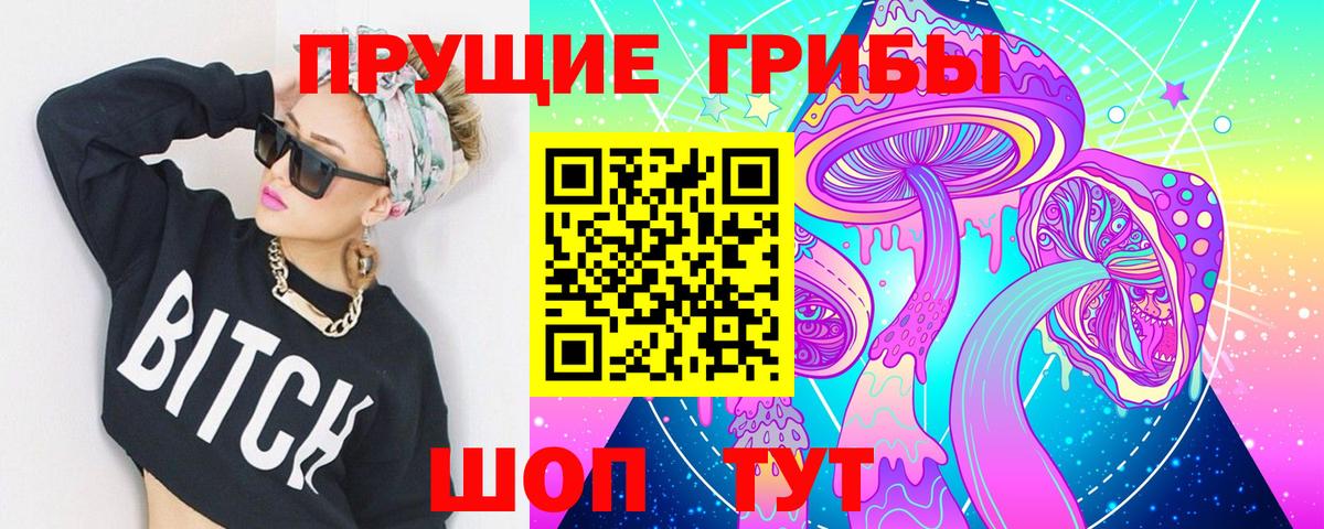 Псилоцибиновые грибы Cubensis Видное