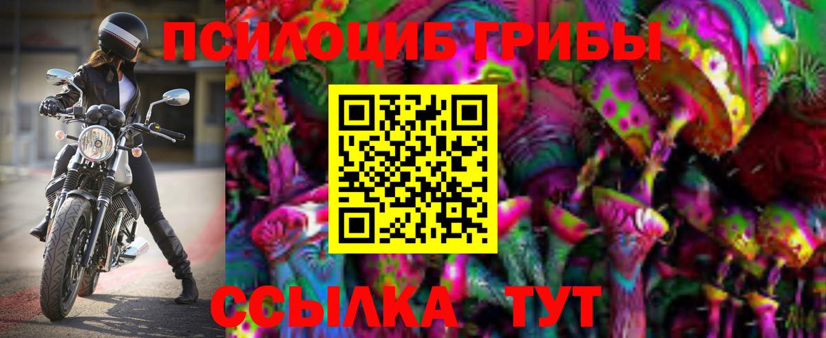 Видное  Псилоцибиновые грибы Cubensis  Вход с VPN 